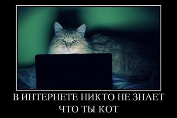 Богатство выбора Богатство выбора