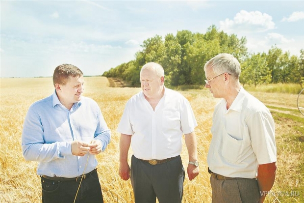 цены, подорожание продуктов, продовольственная безопасность цены, подорожание продуктов, продовольственная безопасность