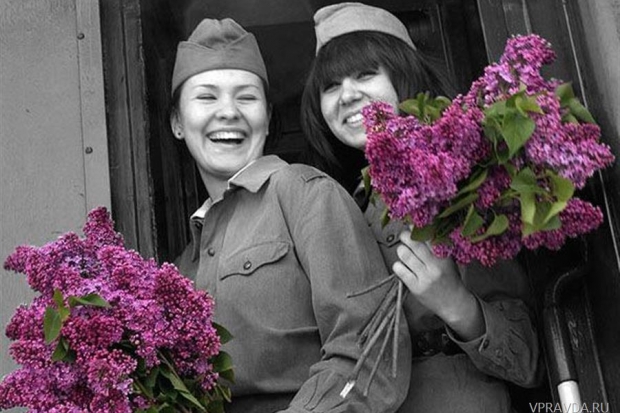 волгоград, сирень победы, волжский волгоград, сирень победы, волжский