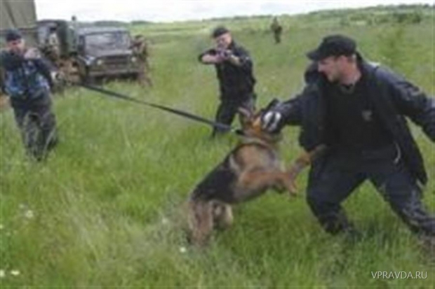 Волгоград, граница, нарушитель, Казахстан, невменяемый Волгоград, граница, нарушитель, Казахстан, невменяемый
