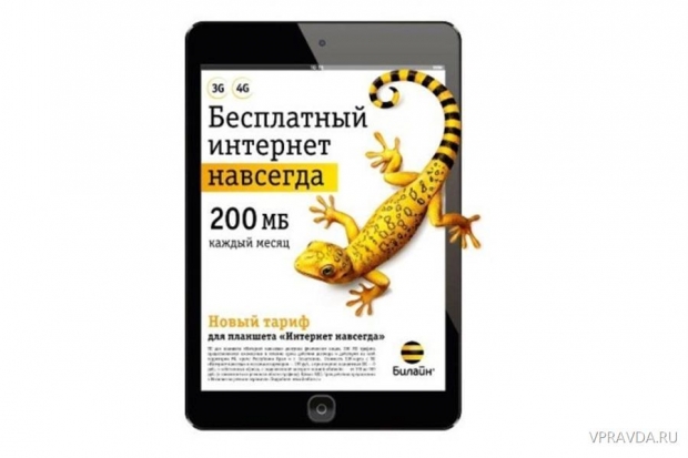 «Билайн» отдает интернет навсегда «Билайн» отдает интернет навсегда