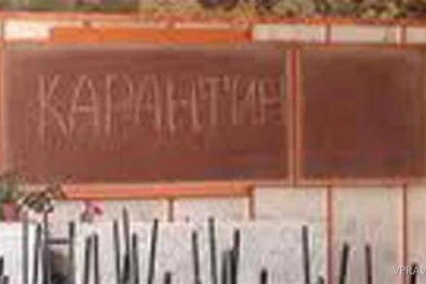 волгоград, карантин, грипп, орви, школы, занятия, роспотребнадзор волгоград, карантин, грипп, орви, школы, занятия, роспотребнадзор