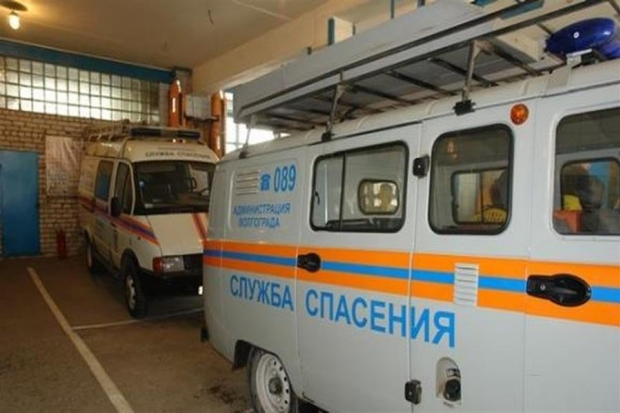 Спасатели помогли волгоградцам поймать агрессивную кошку Спасатели помогли волгоградцам поймать агрессивную кошку