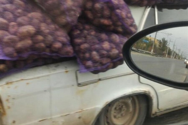 На западе Волгограда картошка едва не спровоцировала ДТП На западе Волгограда картошка едва не спровоцировала ДТП