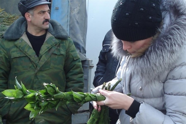 В Волгограде у продавцов изъято 125 запрещенных первоцветов В Волгограде у продавцов изъято 125 запрещенных первоцветов