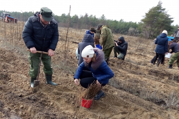В Калачевском районе праправнуки ветеранов войны высадили белую акацию В Калачевском районе праправнуки ветеранов войны высадили белую акацию