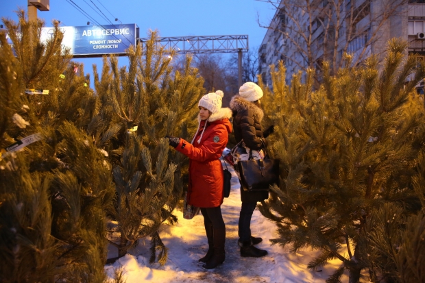 В каждом районе Волгограда откроются елочные базары В каждом районе Волгограда откроются елочные базары