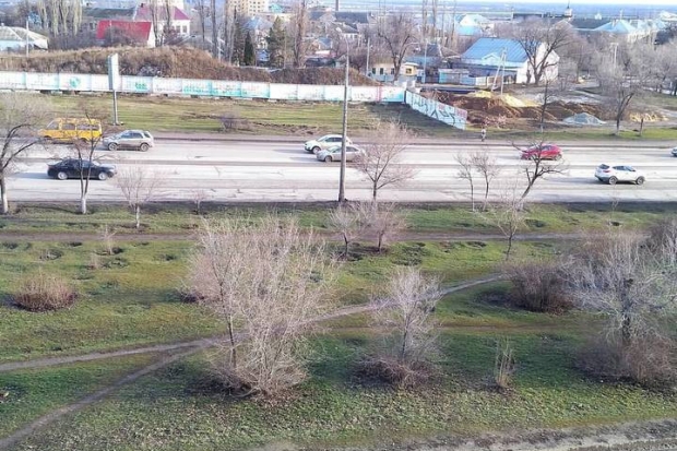 Аномальное тепло в Волгограде: в январе зазеленела трава Аномальное тепло в Волгограде: в январе зазеленела трава