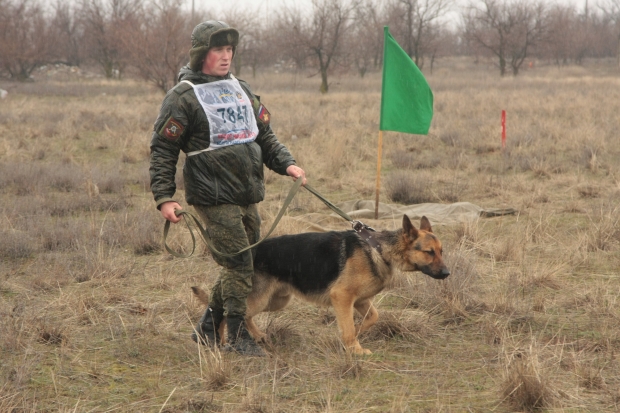 Военные кинологи готовятся к соревнованиям «Верный друг» Военные кинологи готовятся к соревнованиям «Верный друг»