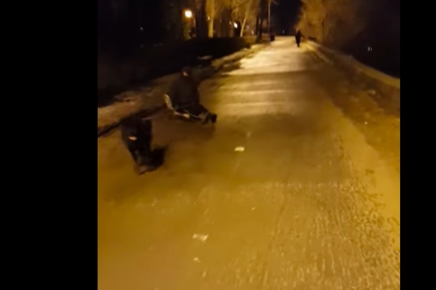 Дрифт на собачьей упряжке на набережной Волгограда сняли на видео Дрифт на собачьей упряжке на набережной Волгограда сняли на видео