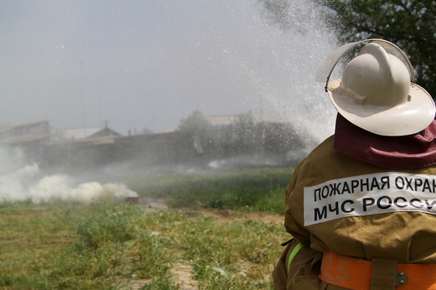 МЧС предупредило волгоградцев об опасности тополиного пуха весной МЧС предупредило волгоградцев об опасности тополиного пуха весной