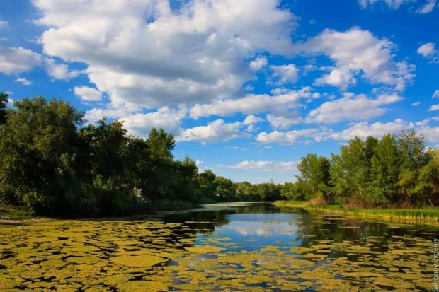 http://vpravda.ru/sites/default/files/styles/photo_620_413/public/article/636247330263767830.jpg?itok=zHIySjDv