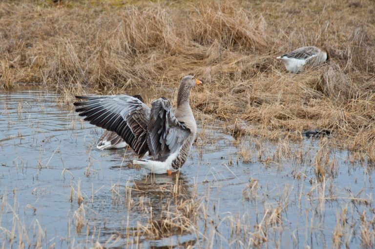 охотничьи угодья horizon. охотничьи угодья horizon. древний арсенал horizon zero dawn на карте. Horizon zero dawn охотничьи угодья на карте. охотничьи угодья horizon zero dawn у зубцов.