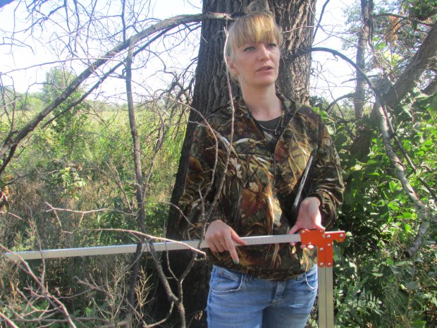 Кустовы волгоград. Кустовы волгоград. Волгоградская областьиловненское лесничество. Цветущие деревья волгоград. Кустовы волгоград.