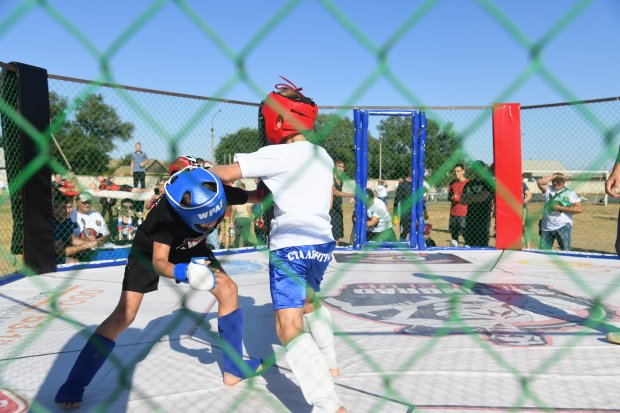 панкратион вид спорта. награждение на соревнованиях панкратион. панкратион волгоград. панкратион в томске. панкратион волгоград.