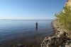 Привычки "морских" хищников
