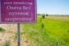 В Волгоградской области с 3 ноября откроется охота на пушного зверя