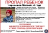 В Волгоградской области ищут пропавшего 4-летнего мальчика