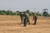 Под Волгоградом саперы очистили учебные поля от неразорвавшихся снарядов