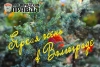Издательский дом объявляет фотоконкурс «Яркая осень в Волгограде»