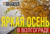 Фото на конкурс «Яркая осень в Волгограде» принимаются до 3 декабря
