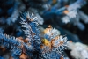 На последней неделе ноября Волгоград ждет снег с дождем и +3°С