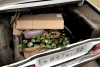 В Волгограде задержали «семерку» с 40 банками красной икры в багажнике