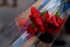 Волгоградская правда