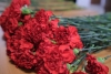 Волгоградская правда