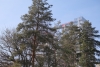 Волгоградская правда