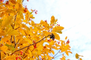 Волгоградская правда