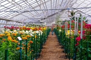 Волгоградская правда