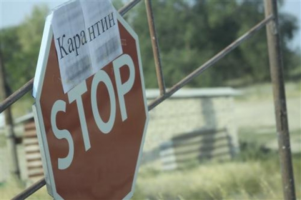 АЧС: борьба продолжается АЧС: борьба продолжается