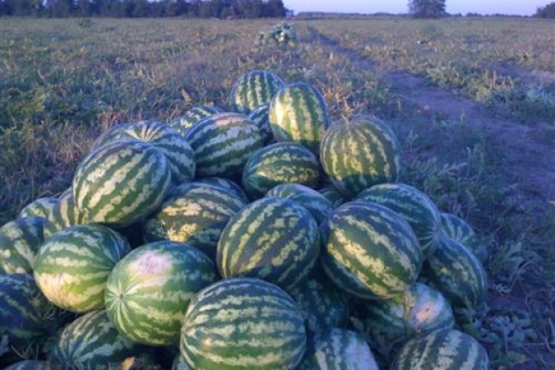 Не ждать милостей от природы Не ждать милостей от природы