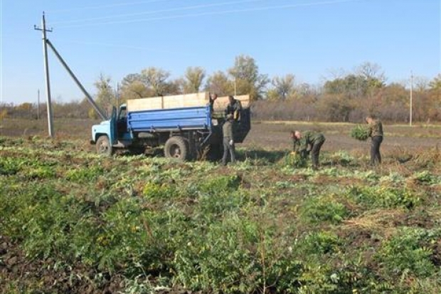 След на пепелище След на пепелище
