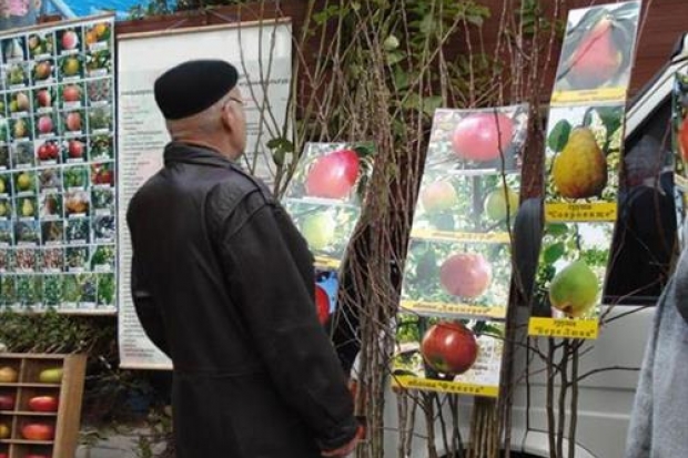 Обновляем свой любимый сад Обновляем свой любимый сад