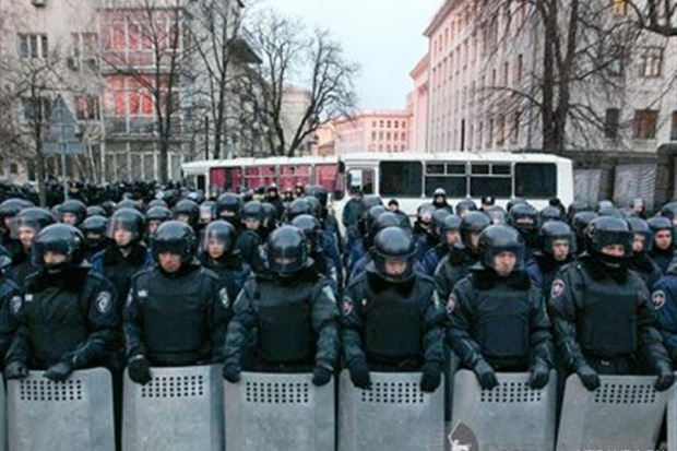 Беркут Беркут