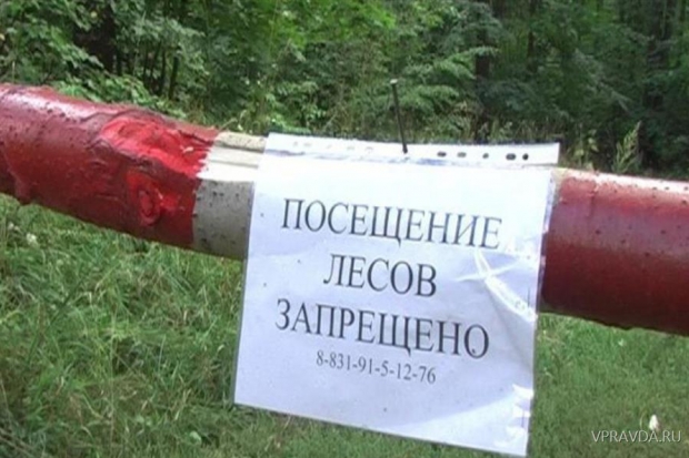 запрет на посещение лесов, волгоградская область запрет на посещение лесов, волгоградская область