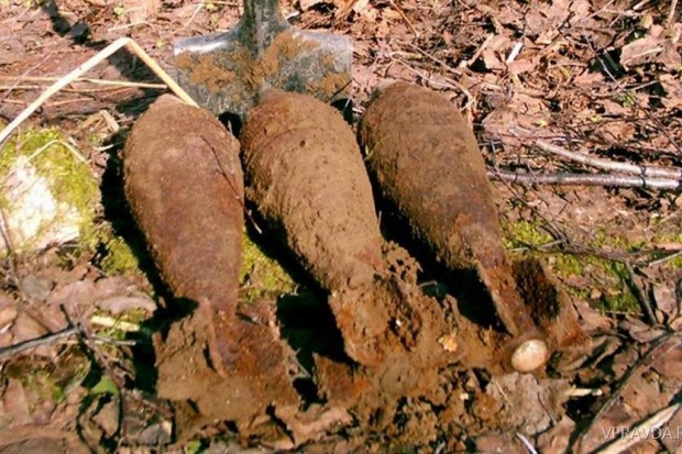 волгоградская область, боеприпасы, саперы, 22 мины