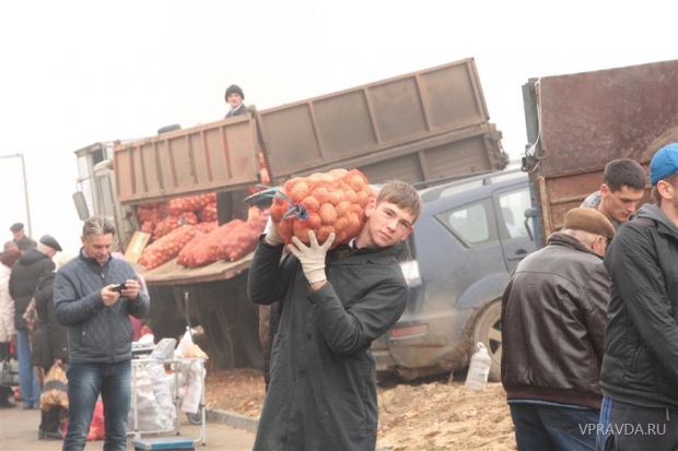 Опасения продуктового дефицита для для такого промышленно-аграрного региона как Волгоградская область оказались беспочвенными Опасения продуктового дефицита для для такого промышленно-аграрного региона как Волгоградская область оказались беспочвенными