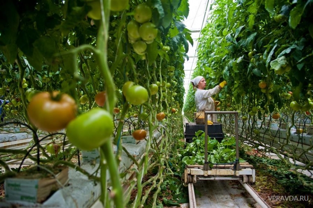 Слияние компаний позволит увеличить объем производства российской продукции Слияние компаний позволит увеличить объем производства российской продукции