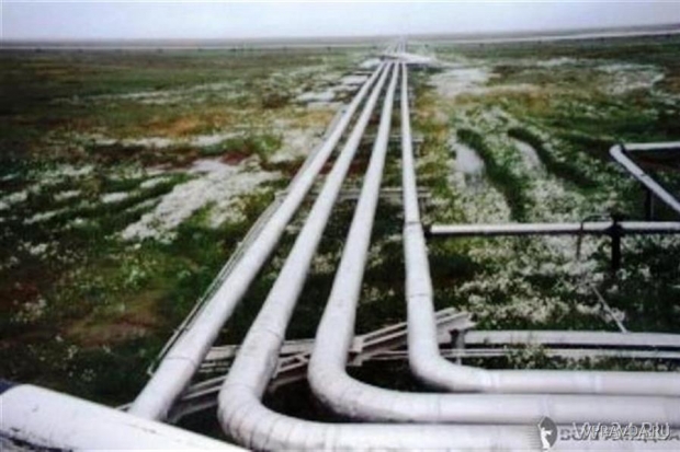 На строящемся газопроводе под Волгоградом воспламенился газ На строящемся газопроводе под Волгоградом воспламенился газ