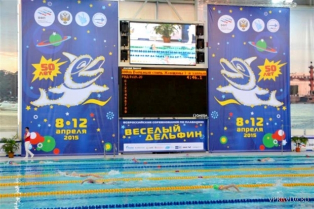 «Веселый дельфин» принес волгоградским пловцам 8 наград «Веселый дельфин» принес волгоградским пловцам 8 наград