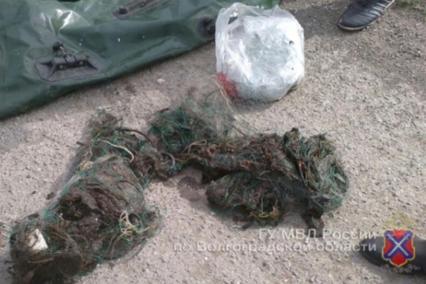 40-летнему волгоградцу грозит 6 месяцев ареста за браконьерство 40-летнему волгоградцу грозит 6 месяцев ареста за браконьерство