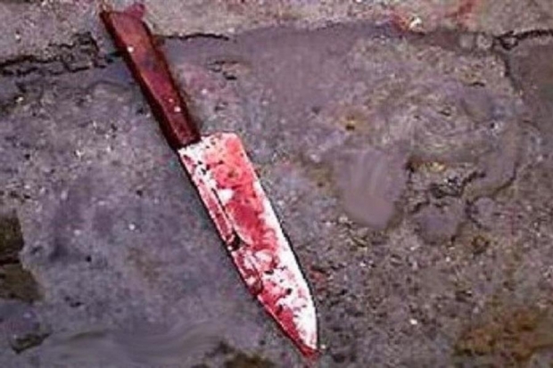 В Волгограде 32-летний детский психолог убила мать после ссоры В Волгограде 32-летний детский психолог убила мать после ссоры