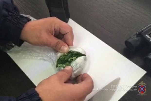 В Волгограде полицейские с собакой нашли марихуану у 31-летнего пассажира такси В Волгограде полицейские с собакой нашли марихуану у 31-летнего пассажира такси