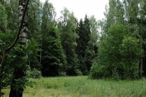 В Волгоградской области на 2 недели продлен запрет на посещение лесов В Волгоградской области на 2 недели продлен запрет на посещение лесов