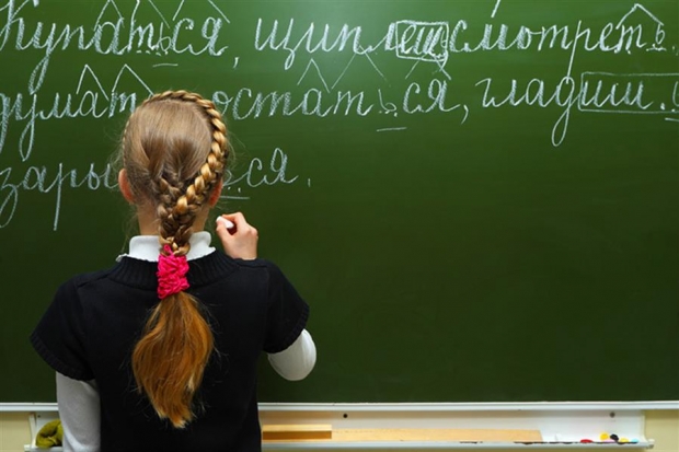 По мнению лингвистов, причина бедствия – неграмотное преподавание русского языка в школе По мнению лингвистов, причина бедствия – неграмотное преподавание русского языка в школе