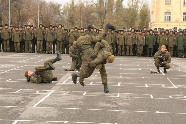 Показательный бой