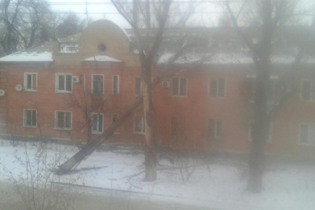 Из-за сильного ветра в Волгограде деревья рухнули на дом и машину Из-за сильного ветра в Волгограде деревья рухнули на дом и машину